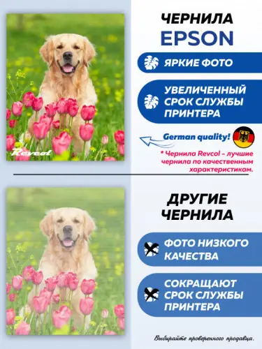 DOGS 108-4